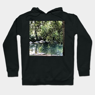 Nature Sticker Hoodie